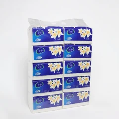 碧红·360型面巾纸 图片 3