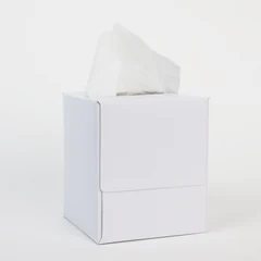 Boxed Napkins image 1